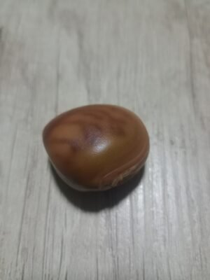 Semilla Ojo de Buey (Protección mal de ojo)